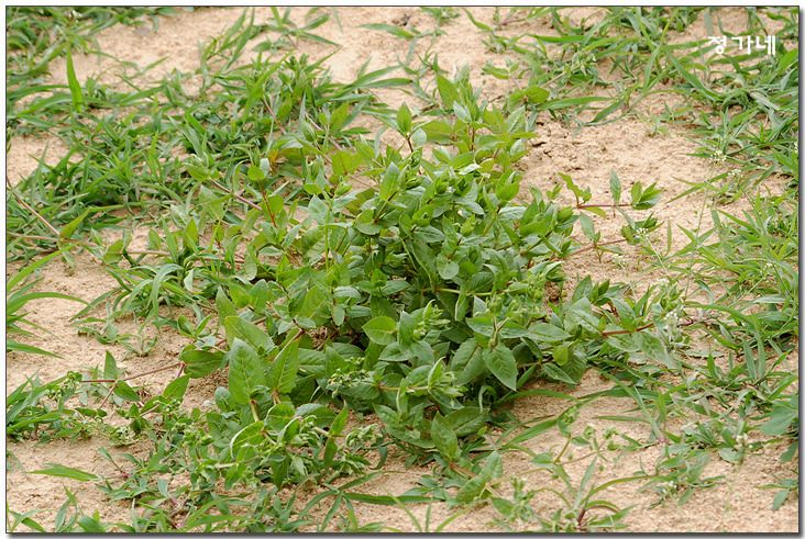 �̹����� Ŭ���ϸ� ������ ���� �� �ֽ��ϴ�.