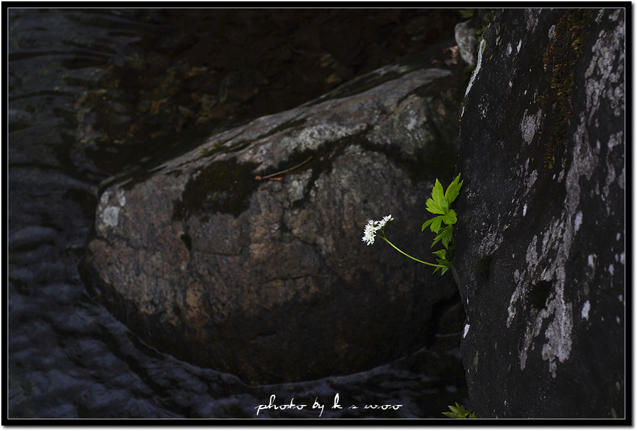 �̹����� Ŭ���ϸ� ������ ���� �� �ֽ��ϴ�.