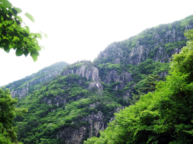 청옥주 이미지