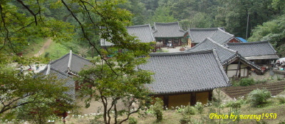 (주)달리고 이미지