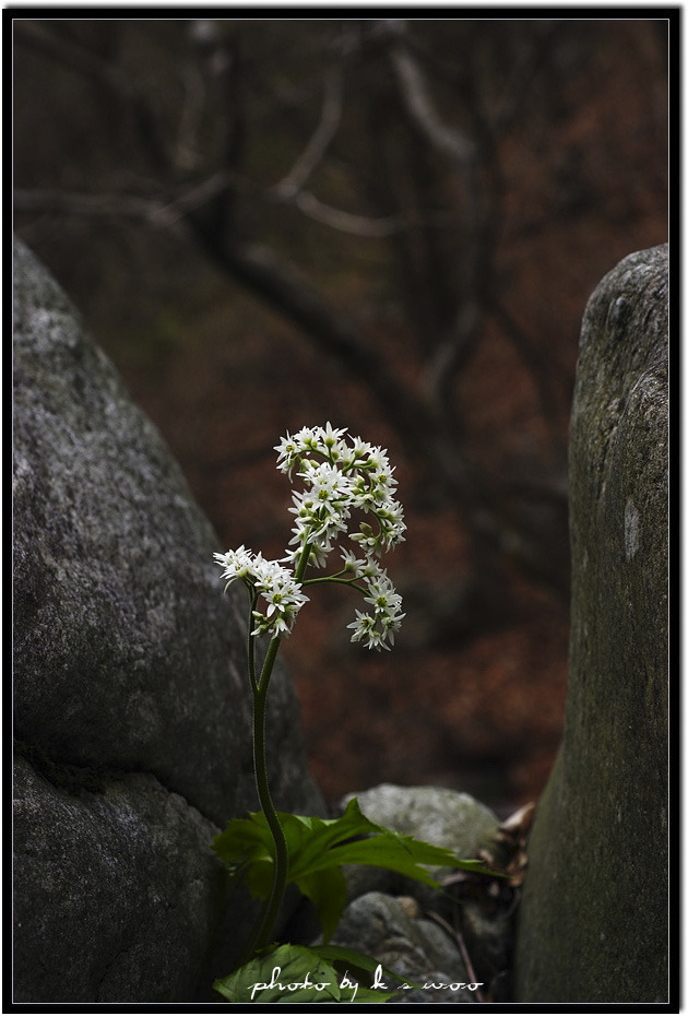 �̹����� Ŭ���ϸ� ������ ���� �� �ֽ��ϴ�.