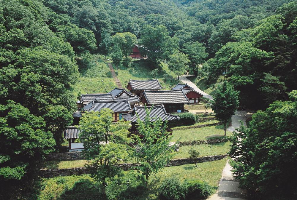 (주)달리고 이미지