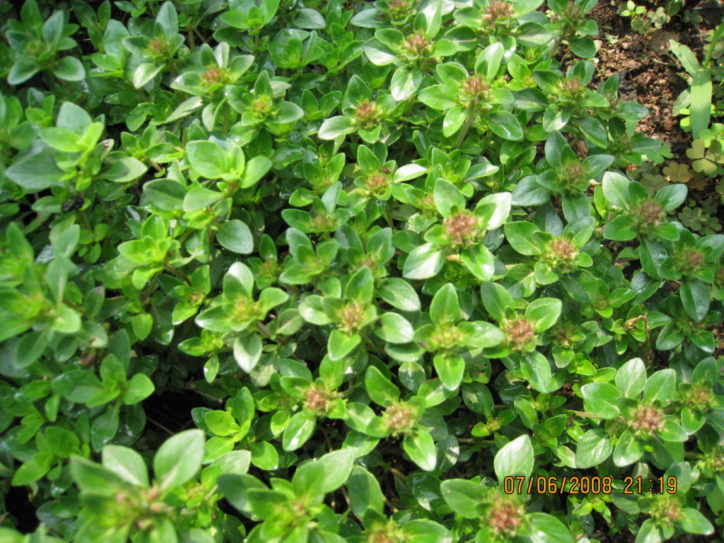 �̹����� Ŭ���ϸ� ������ ���� �� �ֽ��ϴ�.