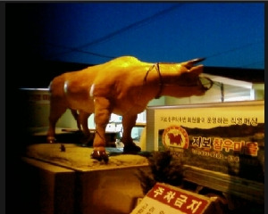 지보참우마을 이미지
